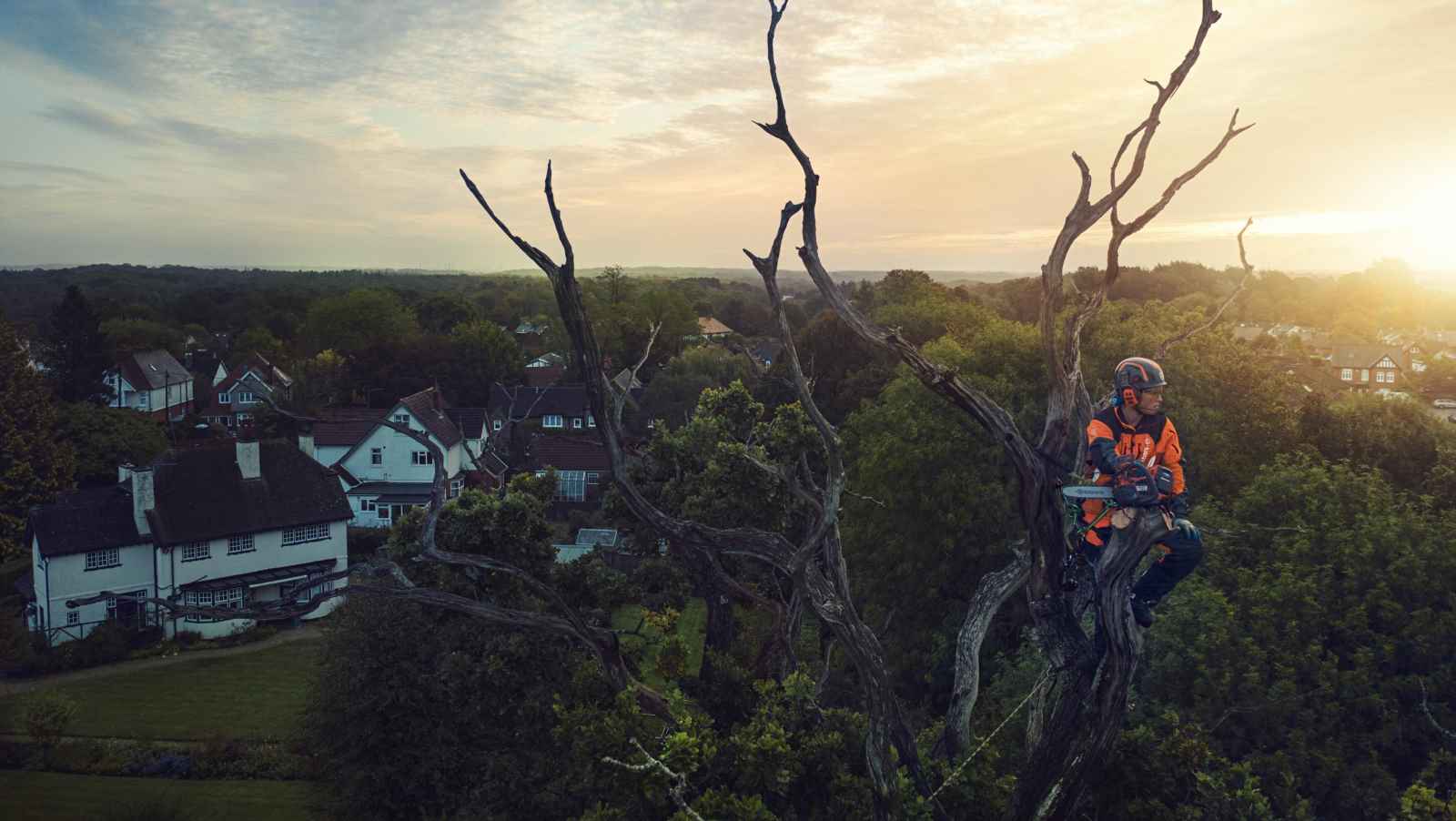 Arborist echipat cu Husqvarna se odihneste in copac